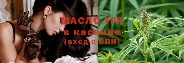 твердый Медногорск