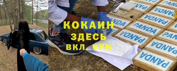 твердый Медногорск