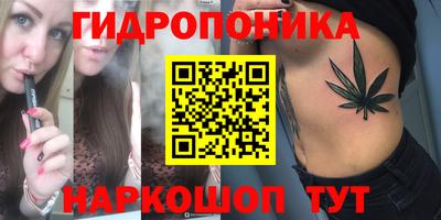 сатива Краснознаменск